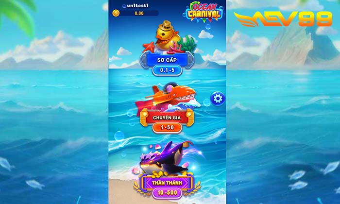 Các sảnh cược trong Vũ Hội Đại Dương Các sảnh cược trong Vũ Hội Đại Dương